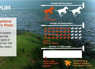 Huntre Equine Newsletter Infographic illustration infographics