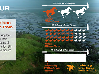 Huntre Equine Newsletter Infographic