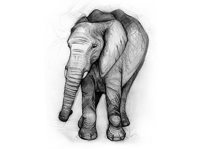 Elephant forfun handdrawing kilingtime