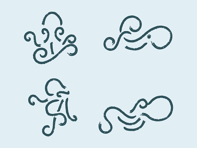 Octopus exploration