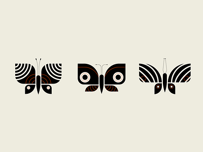 Butterflies butterflies butterfly geometric illustration pattern vector wing wings