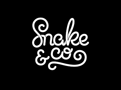 Lettering logo "Snake & Co" calligraphy design hand drawn ipad lettering lettering logo typography vector