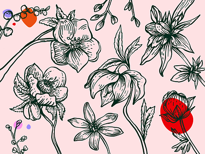 Botanical Pattern adobe draw botanical drawing etching flowers illustration pattern twitch vector
