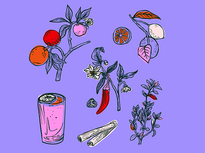 Cocktail Ingredients Illustration