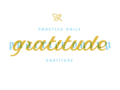 Practice Daily Gratitude