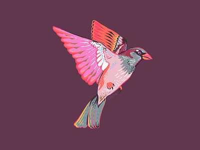 Sparrow Illustration bird colorful drawing flight grey illustration orange pink purple red sparrow yellow