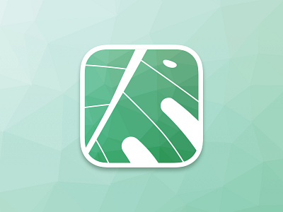 #005 App Icon