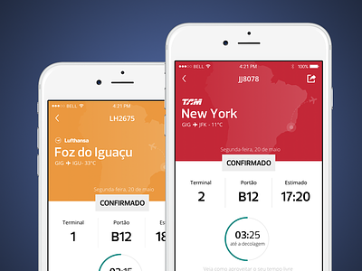 Flight Details airport app flight icons interaction ios mobile ui ux