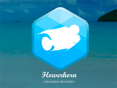 Flower aquarium beach brazilian fish fisher fishkeeper hexagon hobby logo logotype nature wild