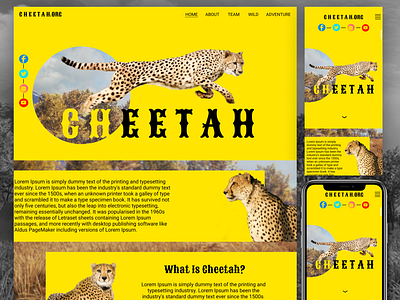 Cheetah Web (Live Demo) landing page landing page ui ui ux ui design userinterface web design