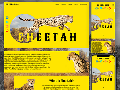 Cheetah Web (Live Demo)