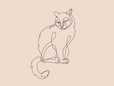 Cat Line Art cat contour illustration kitten line lineart outline vector