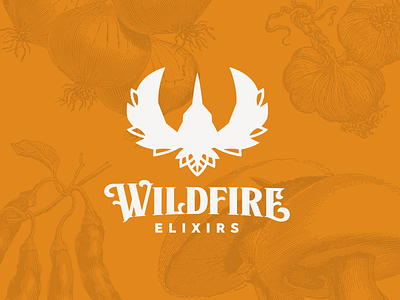 Wildfire Logo Lockup branding fire tonic illustrator logo spicy vector