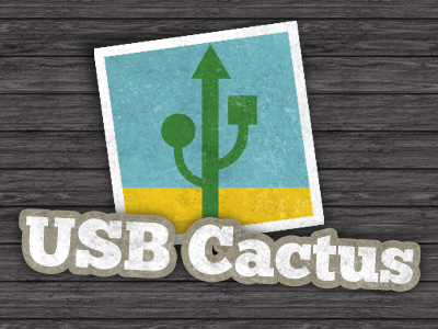 USB Cactus cactus chunk desert slab technology western wood