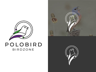 Polobird-Bird logo company logo bird bird logo branding clean flat icon illustration logo logo design minimal modern logo polobird vectbest