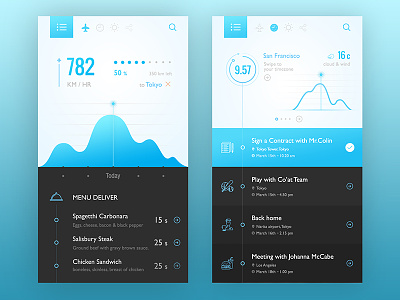 Fli : for Flight & Schedule app application black blue clean concept dark design interface ui ux white