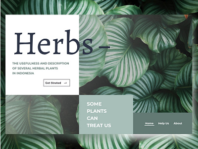 Herbs farms landing design landingpage minimalist oldstyle retro web