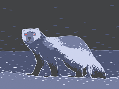 wolverine hunting book illustration illustration photoshop wolverine wolverine animal