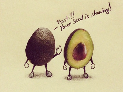 Junk Mail Treasures: An Honest Avocado avocado cutout drawing green illustration ink joke junkmail sketch treasure