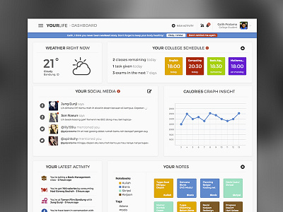 YourLife Dashboard chart clean dashboard flat layout schedule simple ui ux weather web web design
