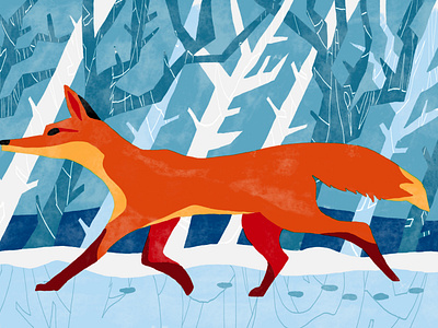 Fox in the Snow