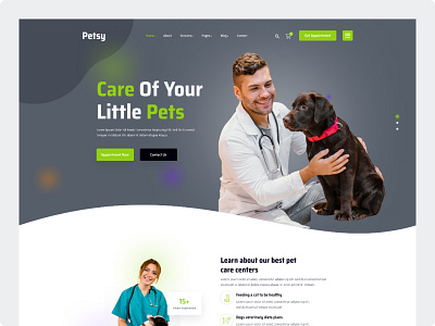 Petsy pet care design illustration ui ux web website