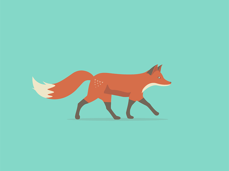 Quinn the Fox Walk Cycle animal animation character fox walk