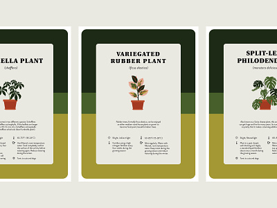 Houseplant Care Prints design green houseplant illustration midcentury mod plant print