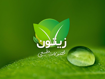 Zeytoon - Nature Products Logo coreldraw design logo minimal photoshop