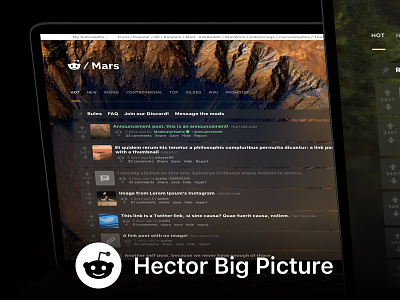 Hector Big Picture big picture board community custom discussion fan forum hector install installation mars menu post reddit redesign software tab theme thread ui