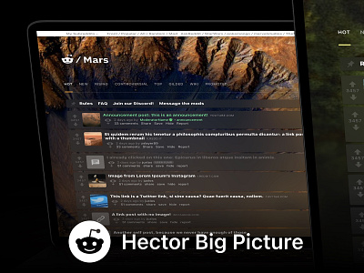 Hector Big Picture big picture board community custom discussion fan forum hector install installation mars menu post reddit redesign software tab theme thread ui