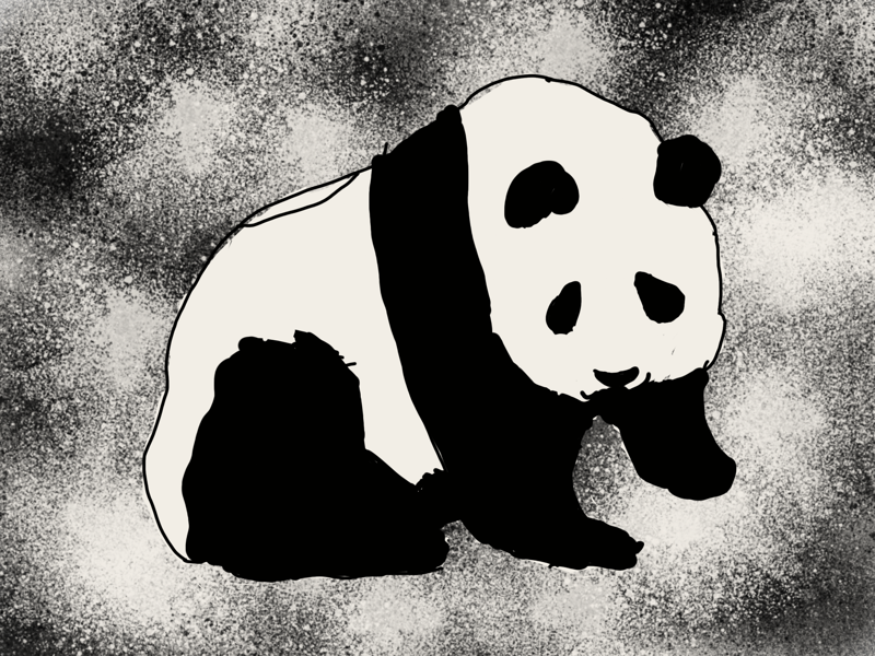 Panda 🐼 by Mimi on Dribbble