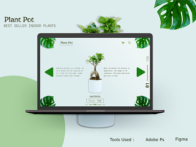 Plant Pot Landing page branding clean clean ui design art e commerce green greenery plant planting plants ui uiux ux web web design