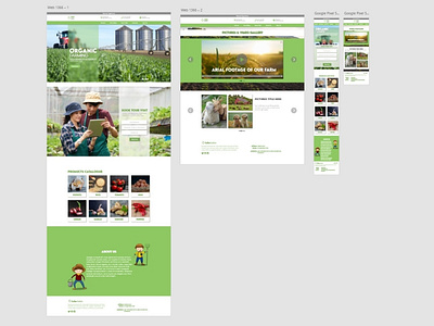 Website design for a Agriculture Farm