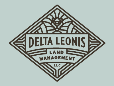 Delta Leonis badge branding diamond linework lion logo