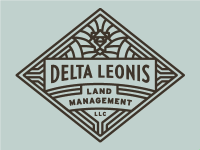 Delta Leonis