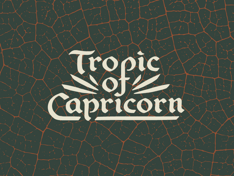 tropic of capricorn novel