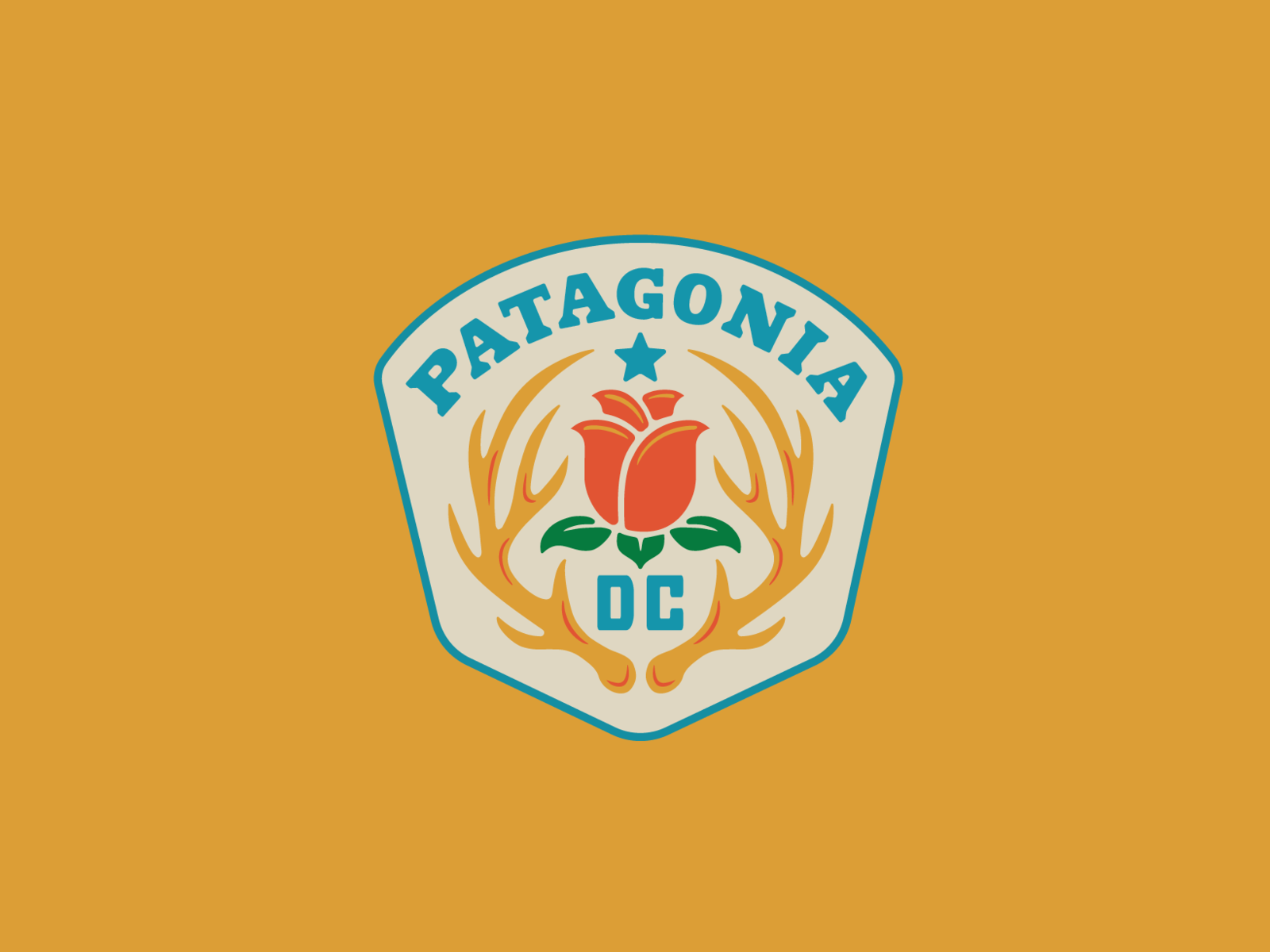 Patagonia DC III by Lauren Dickens on Dribbble