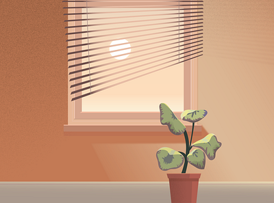 Morning Light illustration illustrator light plant plant illustration window