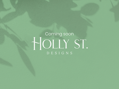 Holly St. Designs branding design ecommerce jewelry ui