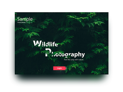 Wild Life Photography ui web