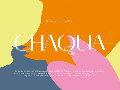 CHAQUA // Brand & Packaging Design branding design icon identity illustration logo logodesign logotype typography vector