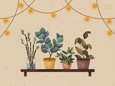 PLANT CORNER