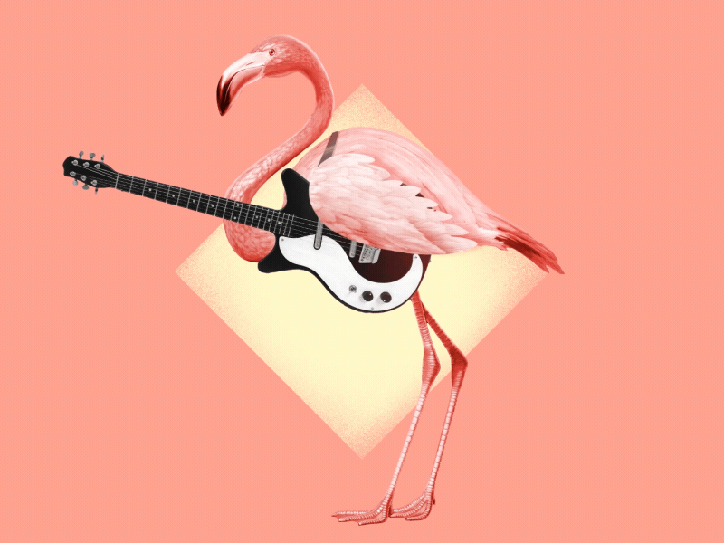 Rockin' Flamingo animation flamingo gif guitar illustration instrument motion pink retro vintage