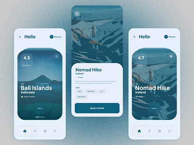 Travel Application UI