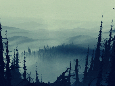 pǝןʇıʇun 3d environment fog forest mist pine rain trees unity