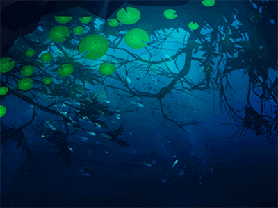 Reflections fishes 3d reflection particles water unity