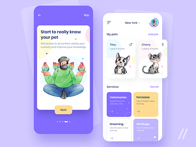 Pet Health Manager App Design