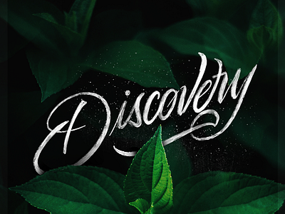 Discovery brush pen discovery lettering nature type