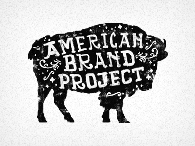 American Brand Project branding design logo